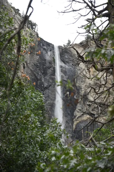 DSC_4593 (Large).JPG